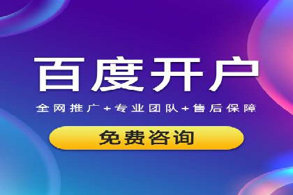 搜索引擎营销（SEM）的投放策略与效果评估——以某行业领先企业的案例分析